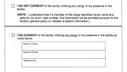 screenshot of form